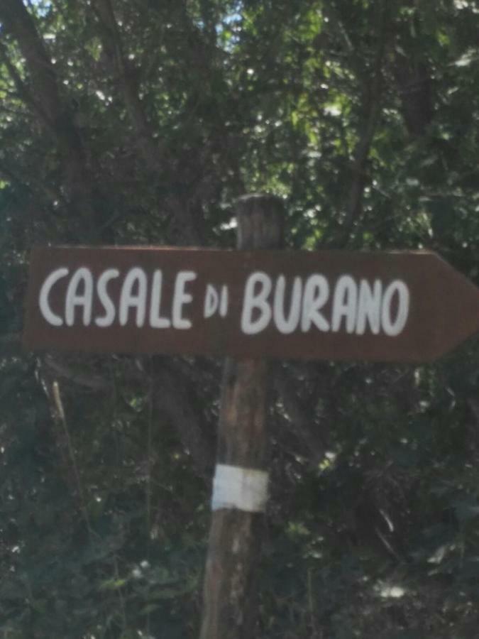 Casale Di Burano Apartment Onano Luaran gambar